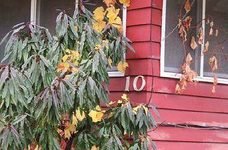 2nd image of 10 Wood St