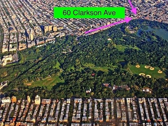 4th image of 60 Clarkson Ave APT 1B