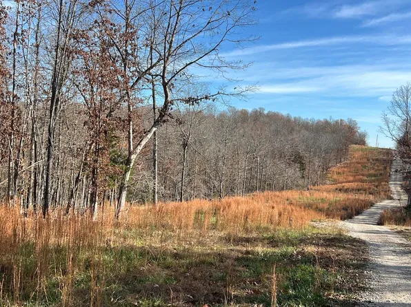 1199 Us 160, Alton, MO 65606