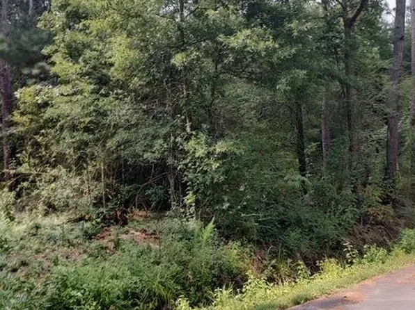 0 Forest Rd, Plainville, GA 30733