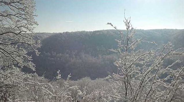 2nd image of 99 Falling Cliff Dr