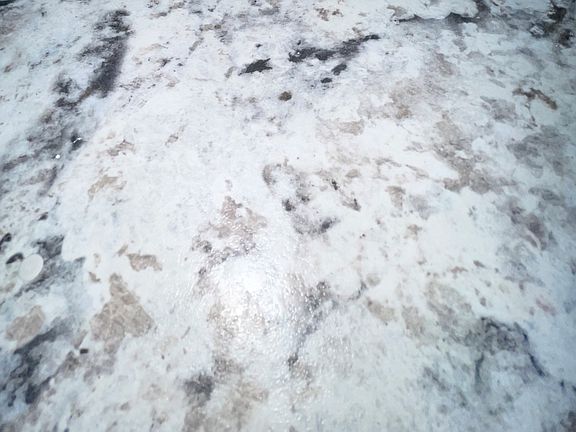5th image of 1639 E Park Ave #J5