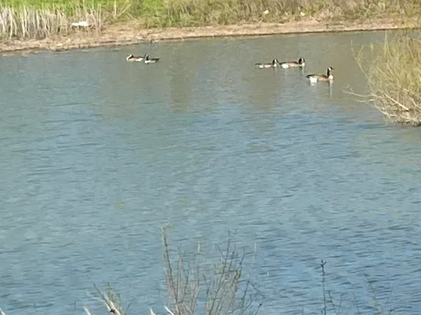 000 Farm Road 2172, Cassville, MO 65625