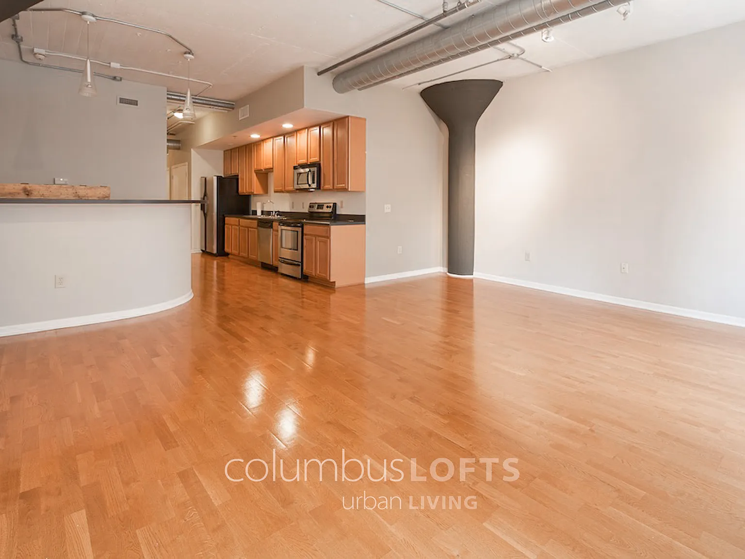 1 bed, 1000 sqft, $1,500 — Photo 4