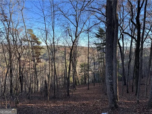 803 Greenwood Cir, Ranger, GA 30734