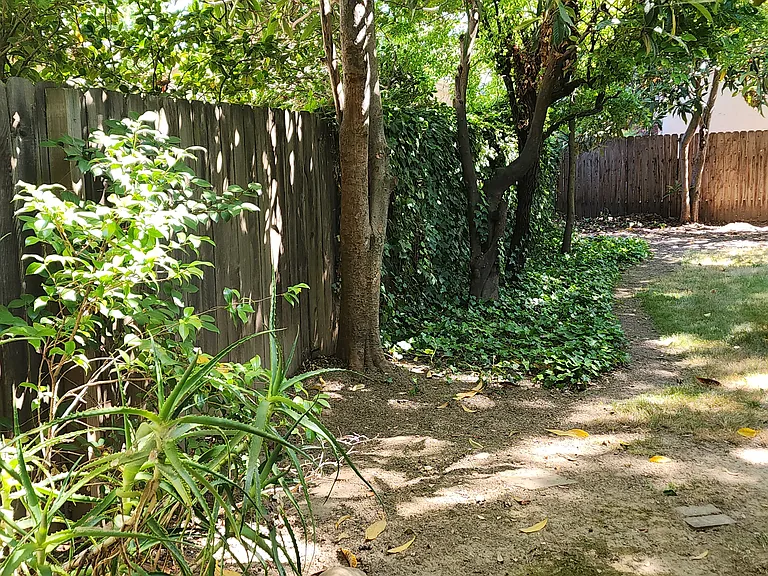 800 Vallejo Way — Photo 9
