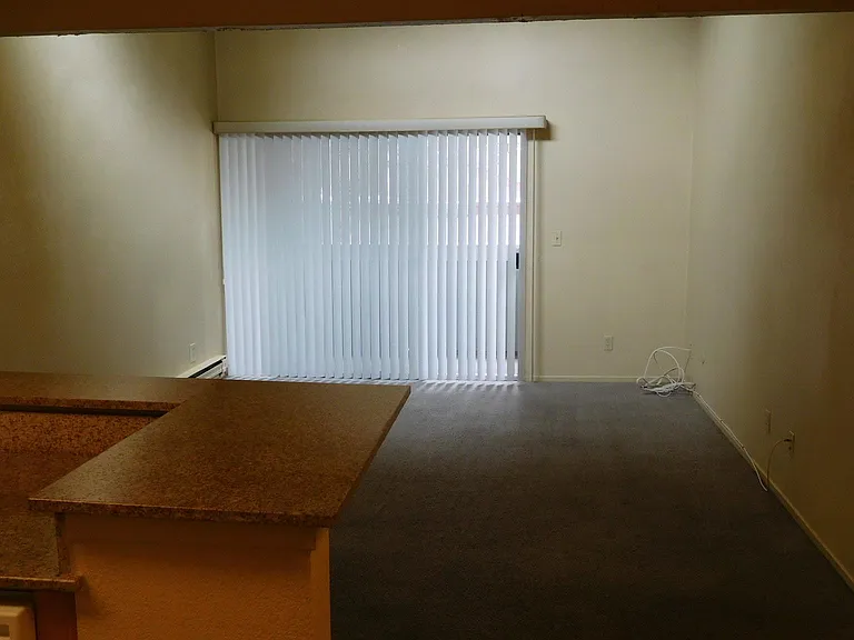 1333 N Camino Alto Rd — Photo 14