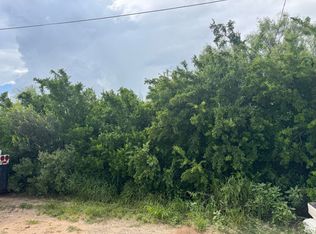1503 Col Antonio Zapata Ave, Zapata, TX 78076