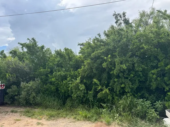 1503 Col Antonio Zapata Ave, Zapata, TX 78076