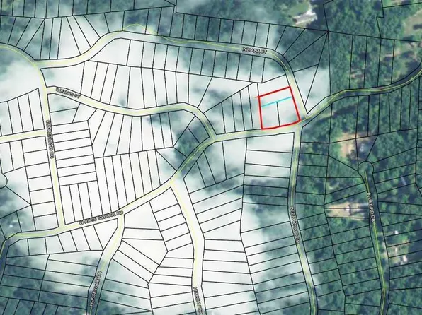 Lots 197 199 W Ross School Rd, Cadiz, KY 42211