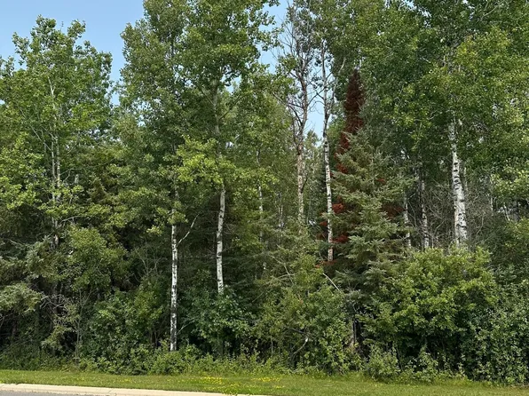 County Road 107, International Falls, MN 56649