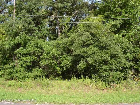 3678 N Eisenhower Ave, Hernando, FL 34442