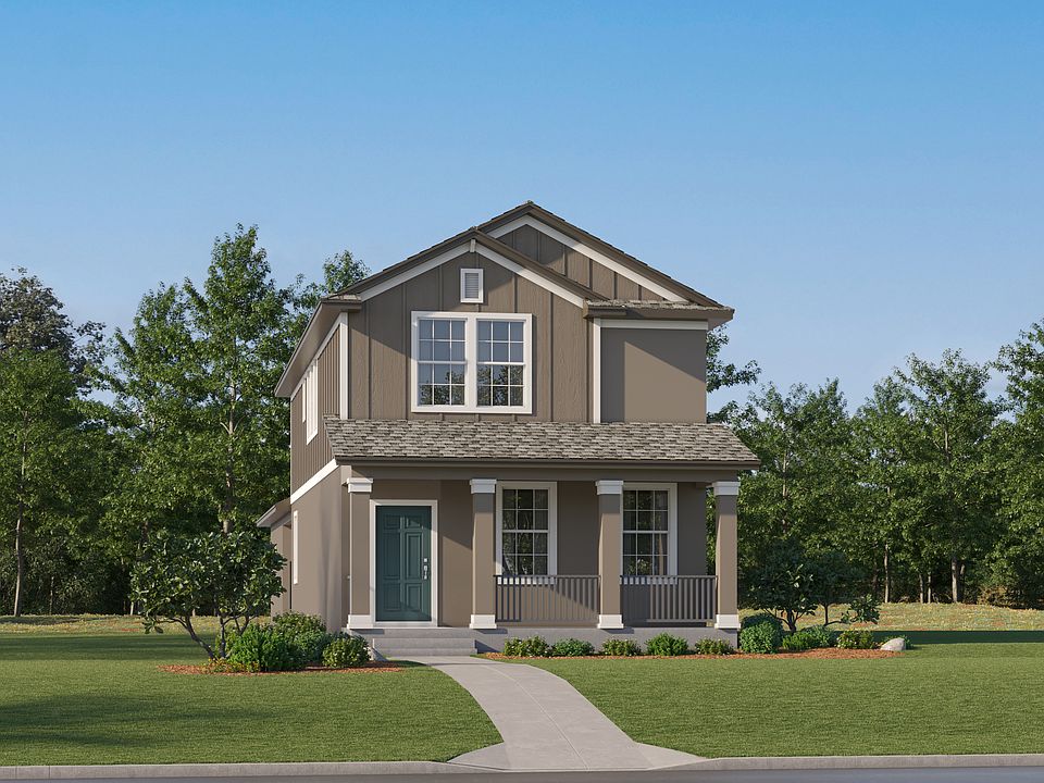 Havens Longleaf Magnolia K