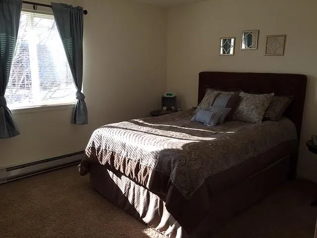 4885 Aster St — Photo 10