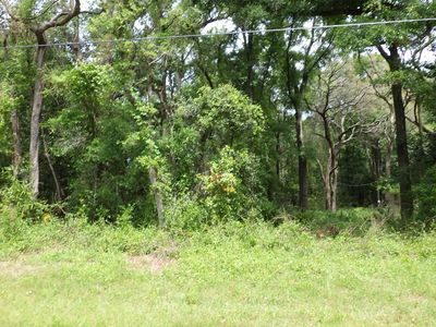 LOT 87 NW 168th Ln, Trenton, FL, 32693