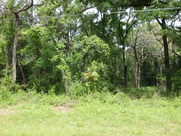 LOT 87 NW 168th Ln, Trenton, FL 32693