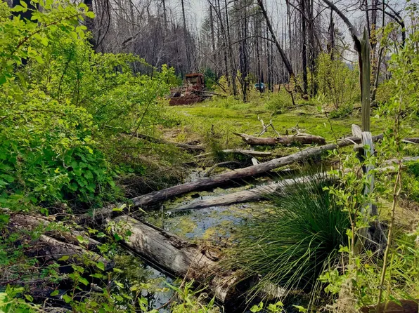 Hayfork Summit Rd, Junction City, CA 96048