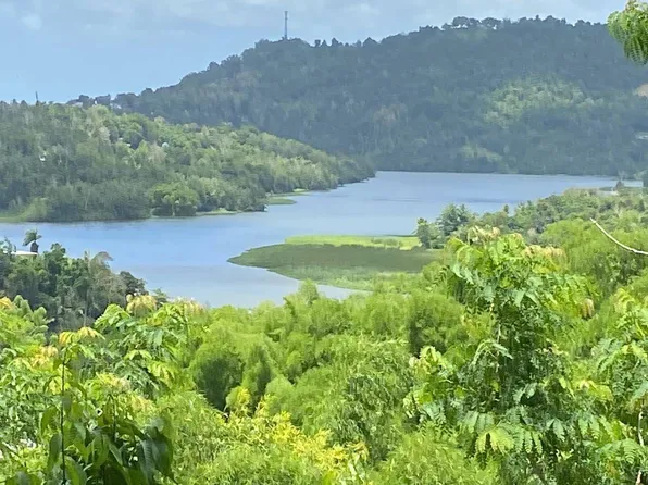 Kmhm 4.5 Sec El Salchicon Bo, Caguas, PR 00725