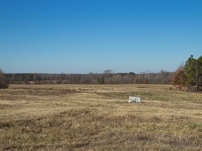 981 Rock McClain Rd, Dresden, TN, 38225