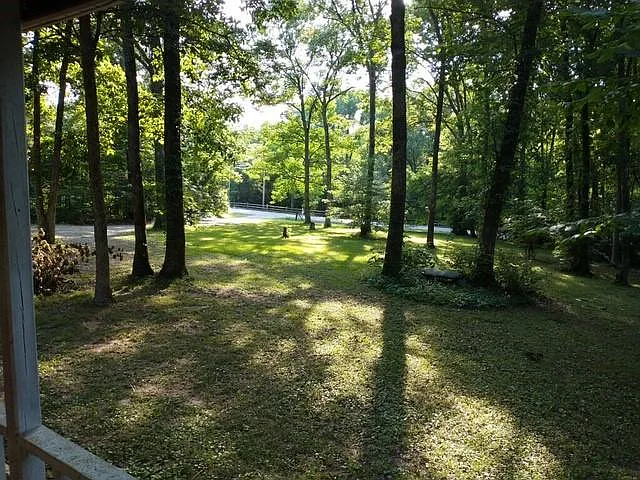 front porch view