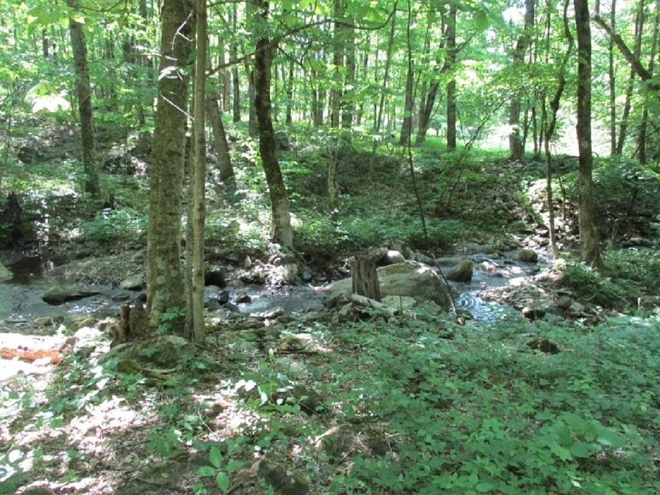 2nd image of 118 Toms Creek Dr