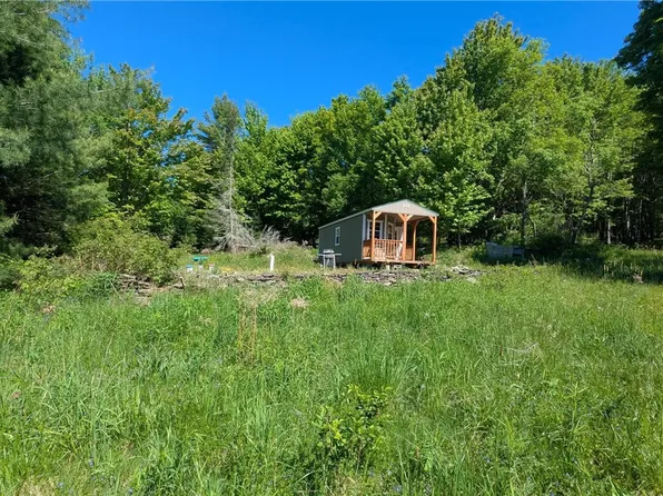 156 Akita Rd, Jefferson, NY 12093