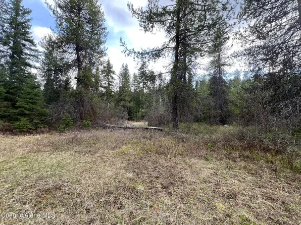 Nka Settlers Ln, Saint Maries, ID 83861