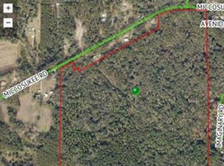 9034 William M Smith Ln, Tallahassee, FL 32309