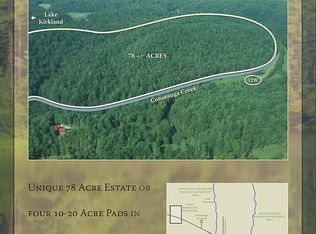 10000 Chatsworth Hwy, Ellijay, GA 30540