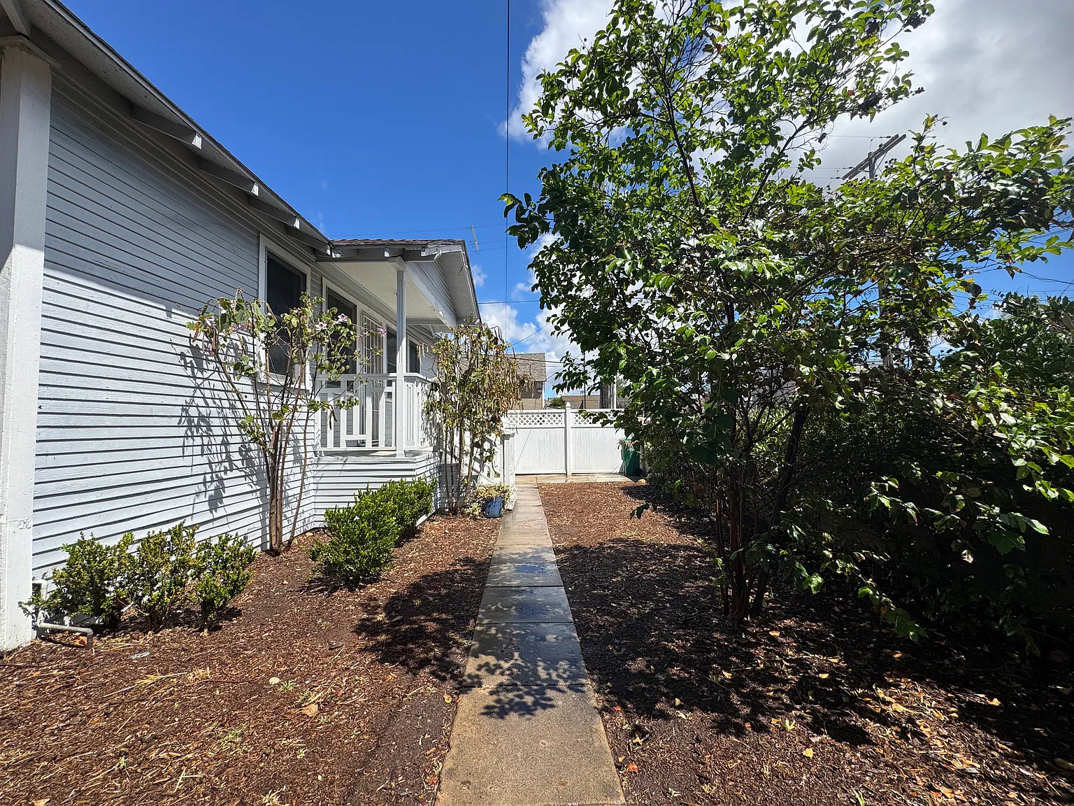 4023 Albatross St — Photo 3