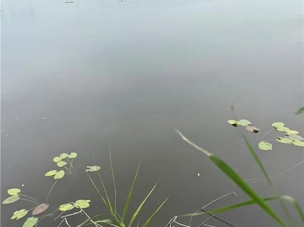 1805 Tropicana Pkwy W, Cape Coral, FL 33993