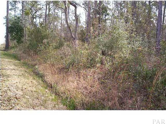 4th image of 6339/6345 Grey Heron Dr