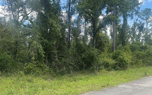 2nd image of 5-6 237th Ct