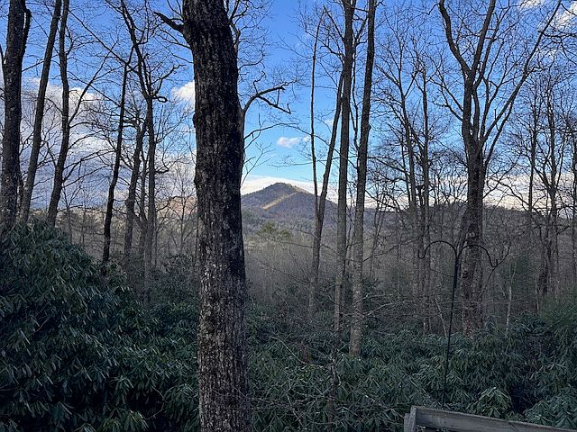 1st image of TBD Bryson Branch Road