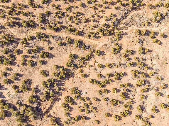4th image of 224 Arroyo Hondo Trl