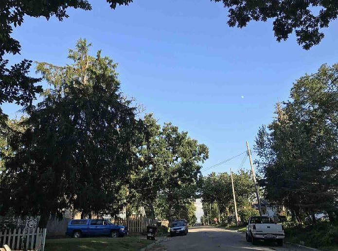 2nd image of 313 Oakland Ave