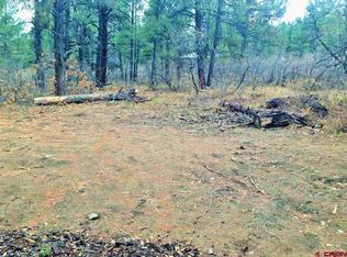 406 Monument Ave Vacant, Pagosa Spgs, CO 81147