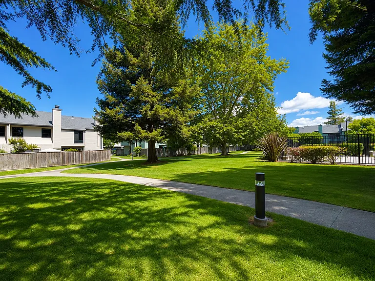 3614 Shelter Creek Dr — Photo 14