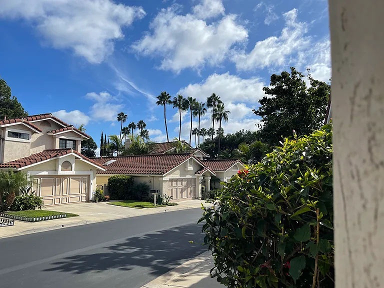 7110 Caminito Zabala — Photo 14