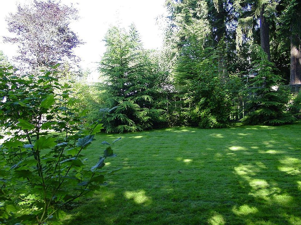 Backyard looking east
