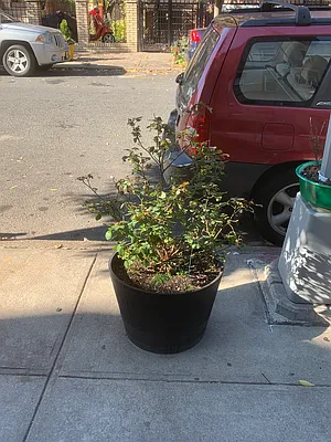 Rented by Mark T. Mallek, LREB | media 46