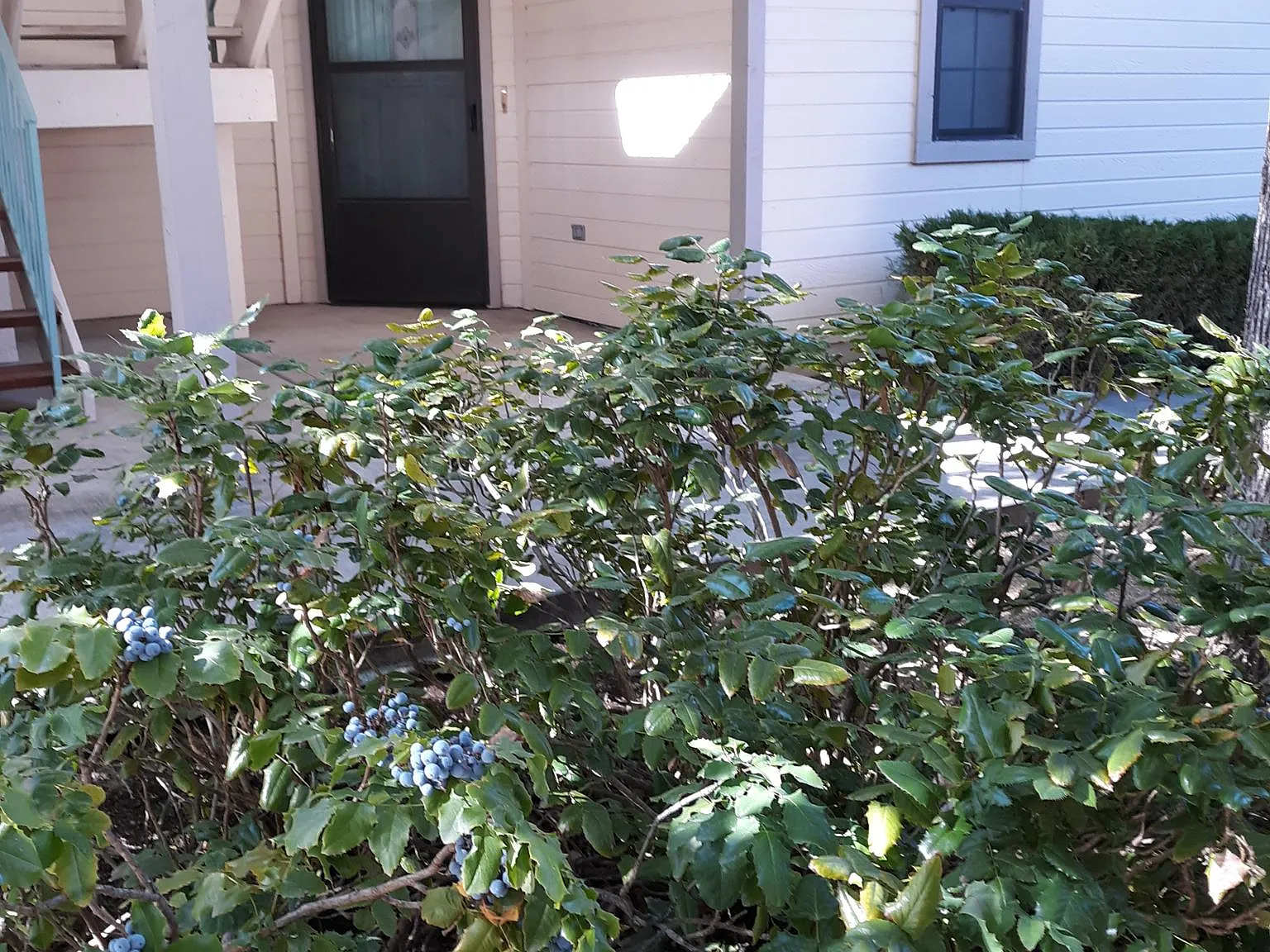 319 S Alarcon St — Photo 3