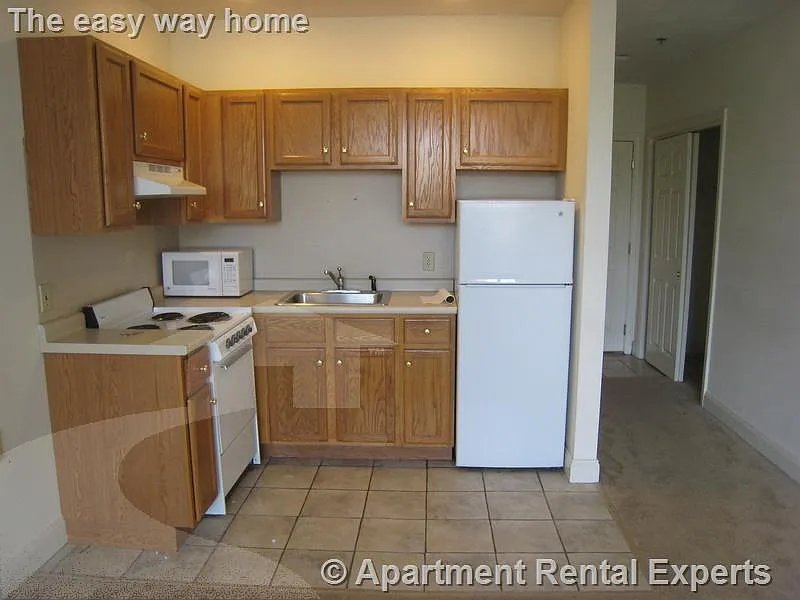 Studio, 350 sqft, $2,300 — Photo 3