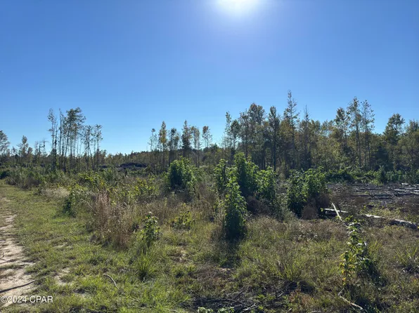 0 Oak Grove Rd, Bascom, FL 32423