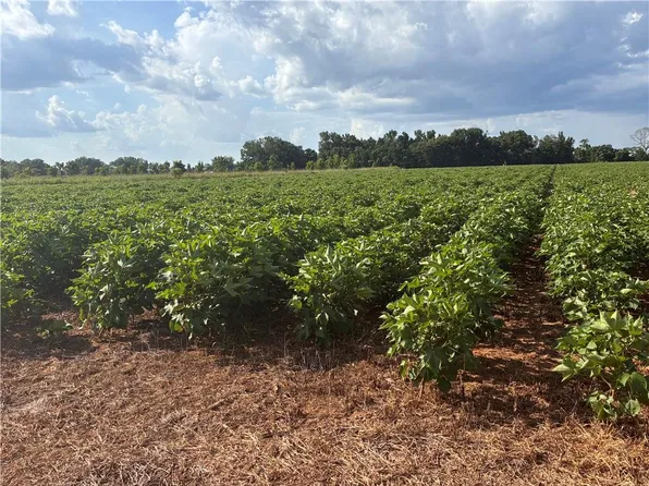 0 Davis Pond Rd, Atmore, AL 36502