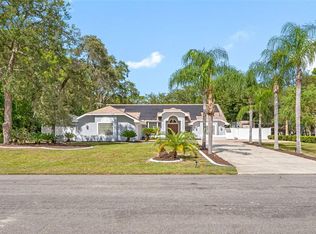 9457 Amorite Ct, Spring Hill, FL 34608