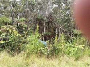 11-3828-AA Liona St LOT 257, Volcano, HI 96785