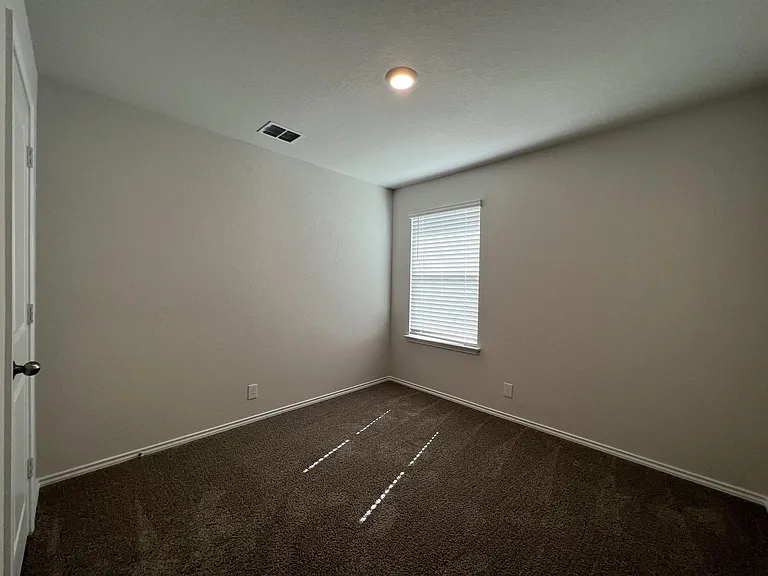 15315 Shortwing — Photo 11