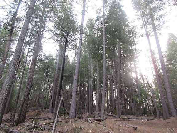 4th image of 30425 Frontier Road