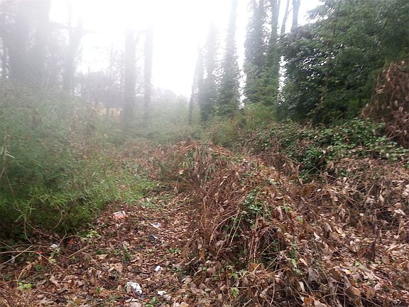 2nd image of 1142 White Oak Ave SW